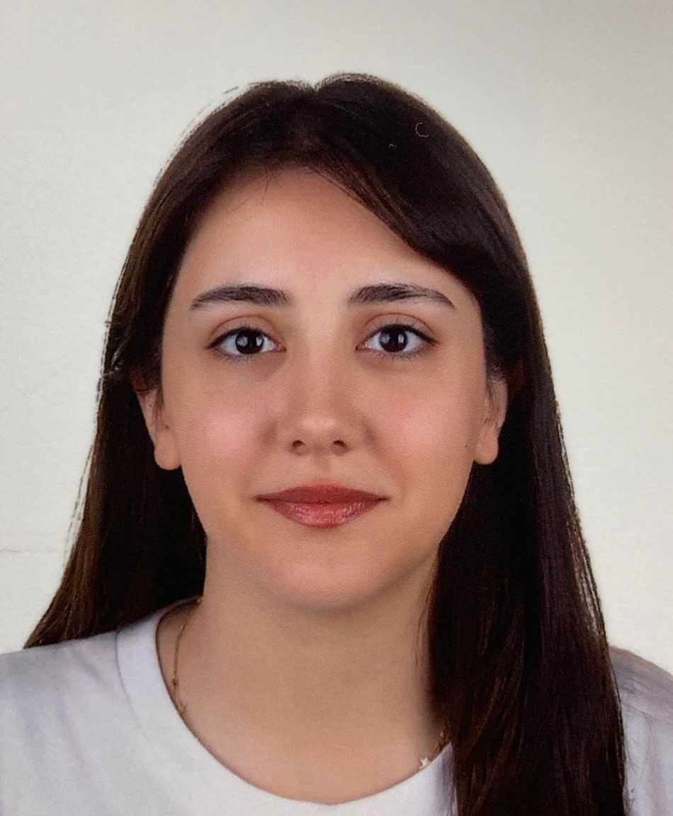 bilge yalçın