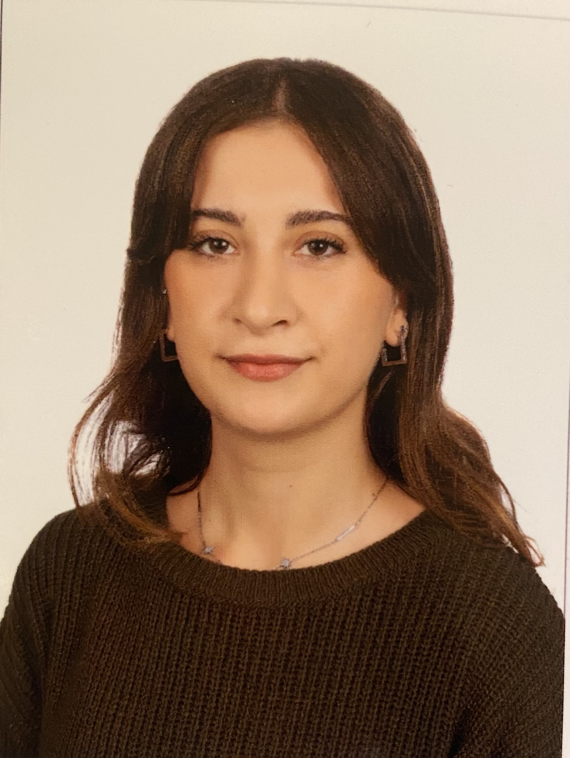 Delfin Dönmezler
