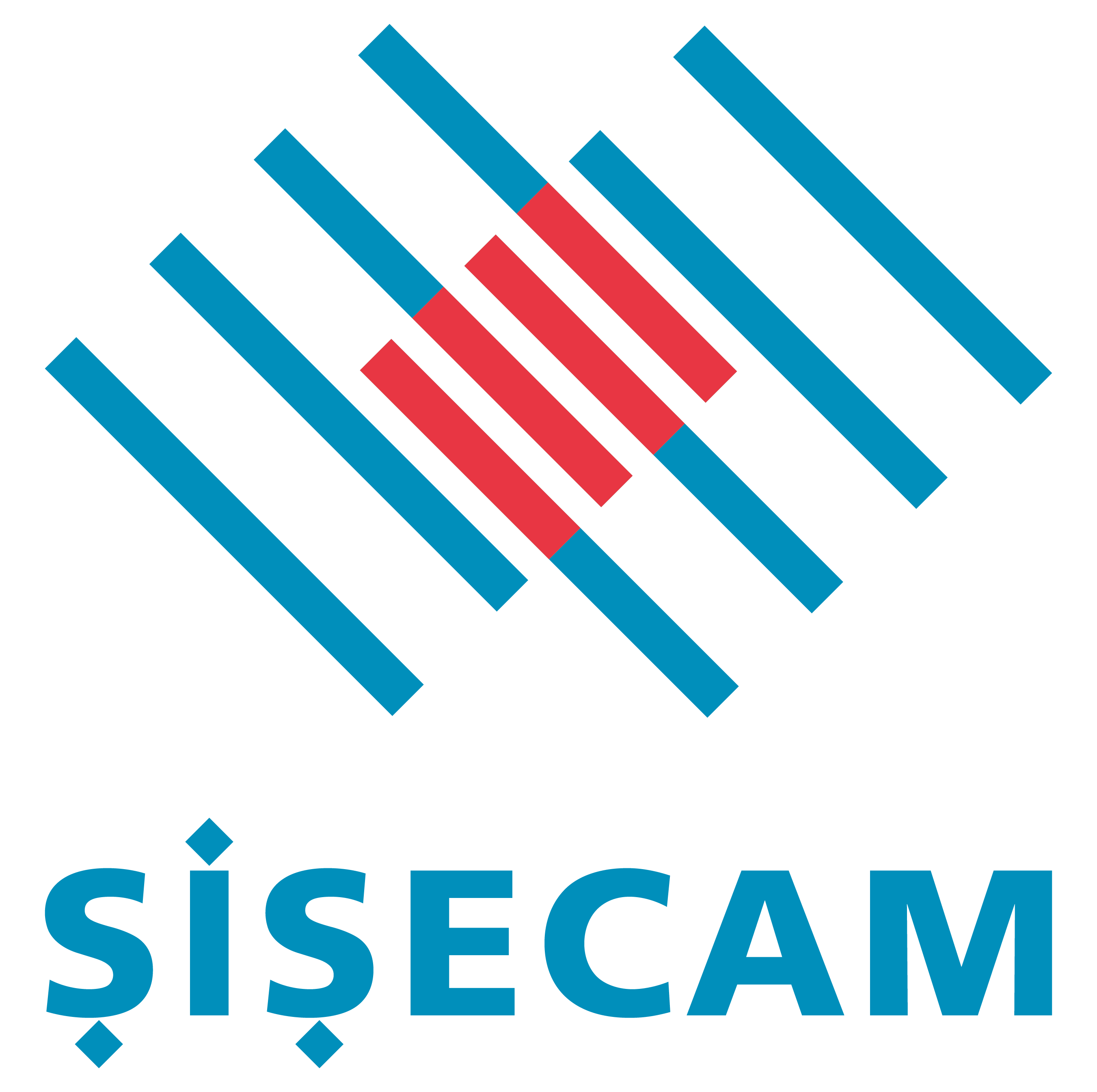 Şişecam
